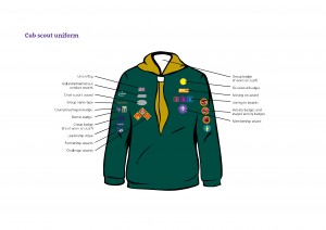 Cub Badge Positions